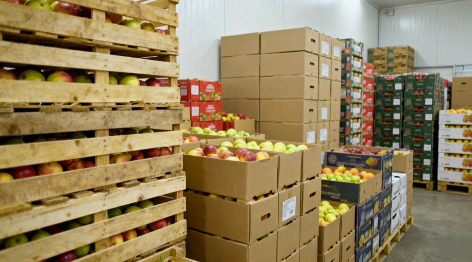 Crates and boxes of fresh fruit arranged on pallets inside a climate-controlled cold storage facility in Ningbo. The image illustrates DR Trans&rsquo;s LCL shipping and cold-chain handling for perishable produce exported from China to Australia.